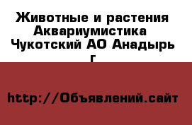 Животные и растения Аквариумистика. Чукотский АО,Анадырь г.